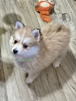 processed/a7d8137b-e93c-49ed-9cd8-9272f41bd568/listing/c5f3fc94-1347-48f6-98a8-fc671a71e704/eadc179d-77d1-4970-98cf-5f32d7eb20ae