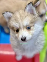 processed/a7d8137b-e93c-49ed-9cd8-9272f41bd568/listing/c5f3fc94-1347-48f6-98a8-fc671a71e704/fe033d00-bda2-433c-8eb7-81a985a16ba9