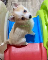 processed/a7d8137b-e93c-49ed-9cd8-9272f41bd568/listing/ee67b8c1-873d-4cba-876f-e9fa0ded5cbb/01ecb7ae-be64-4d72-8348-01b9197335d8