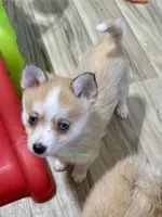 processed/a7d8137b-e93c-49ed-9cd8-9272f41bd568/listing/ee67b8c1-873d-4cba-876f-e9fa0ded5cbb/14ccc630-766d-4b41-b9b1-147ba6f82b13