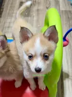 processed/a7d8137b-e93c-49ed-9cd8-9272f41bd568/listing/ee67b8c1-873d-4cba-876f-e9fa0ded5cbb/1a767063-fb32-41b8-8631-8bfdf4cea906