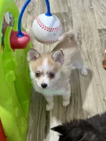 processed/a7d8137b-e93c-49ed-9cd8-9272f41bd568/listing/ee67b8c1-873d-4cba-876f-e9fa0ded5cbb/4ce7a4e8-d811-4466-9a6e-4841ebb8215b