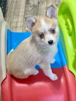 processed/a7d8137b-e93c-49ed-9cd8-9272f41bd568/listing/ee67b8c1-873d-4cba-876f-e9fa0ded5cbb/5bbe3220-1a0c-4d6b-8a53-d2eedb3411d9