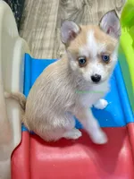 processed/a7d8137b-e93c-49ed-9cd8-9272f41bd568/listing/ee67b8c1-873d-4cba-876f-e9fa0ded5cbb/6a7d5b68-244e-4cf4-8791-2bf93d0429f1