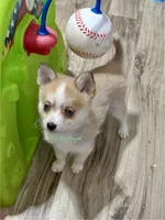 processed/a7d8137b-e93c-49ed-9cd8-9272f41bd568/listing/ee67b8c1-873d-4cba-876f-e9fa0ded5cbb/8904299a-c82b-4a34-8a06-cf33f6539be3