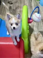 processed/a7d8137b-e93c-49ed-9cd8-9272f41bd568/listing/ee67b8c1-873d-4cba-876f-e9fa0ded5cbb/901b8308-86d7-4481-a723-225488e92322