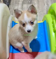 processed/a7d8137b-e93c-49ed-9cd8-9272f41bd568/listing/ee67b8c1-873d-4cba-876f-e9fa0ded5cbb/9148e112-e1f1-4e27-a1e7-1dc207087217