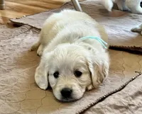 processed/a7e20944-c6ec-40a4-a533-0831b69ae10b/facility/0e15032c-e903-40a7-9a62-8d903ca30461