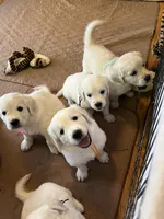 processed/a7e20944-c6ec-40a4-a533-0831b69ae10b/facility/307877ca-06c9-4821-a7d6-b76f8965e120