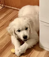 processed/a7e20944-c6ec-40a4-a533-0831b69ae10b/facility/3187159f-e6a3-4365-845b-34ddb33d3d24