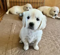 processed/a7e20944-c6ec-40a4-a533-0831b69ae10b/facility/592d6aab-201a-493d-94f6-d7321eb30004