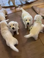 processed/a7e20944-c6ec-40a4-a533-0831b69ae10b/facility/5b102c7b-2753-4531-96d8-cde303218e84