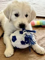 processed/a7e20944-c6ec-40a4-a533-0831b69ae10b/facility/b3e72d5a-81a1-4968-8f04-a0d0598fabe7