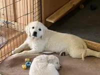 processed/a7e20944-c6ec-40a4-a533-0831b69ae10b/facility/c4bf77f5-3186-4c8c-a9d7-7d3c09ba40c7