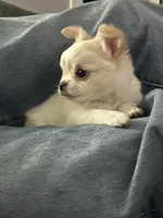 Facility photo