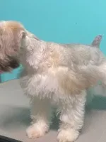 processed/a7e62817-d2cb-41ed-9437-95270ea34f02/listing/fa85ca18-6a2c-4f1e-bb01-635877b1008e/54d70bb1-97ee-41ea-a4bd-547bae548e3d