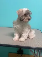 processed/a7e62817-d2cb-41ed-9437-95270ea34f02/listing/fa85ca18-6a2c-4f1e-bb01-635877b1008e/7646da76-9976-4920-b02f-05012aa16919