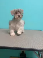 processed/a7e62817-d2cb-41ed-9437-95270ea34f02/listing/fa85ca18-6a2c-4f1e-bb01-635877b1008e/b064249a-290d-428c-b0c4-9392801325d0