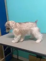 processed/a7e62817-d2cb-41ed-9437-95270ea34f02/listing/fa85ca18-6a2c-4f1e-bb01-635877b1008e/d116696f-8e4d-4b76-8d97-a1f21a0c439f