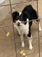 processed/a7e9bf17-8da9-4344-804f-ca99a351da30/listing/5677e05c-39b5-4dc3-8e6f-8b2a80b10ecb/0c03d60a-95cc-4f56-bf5a-b6fcfa869e6c