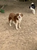 processed/a7e9bf17-8da9-4344-804f-ca99a351da30/listing/b9a949db-d031-4efc-a899-da1e2c984264/63e45e9a-c25d-4f30-9164-cdd528a4b9b3