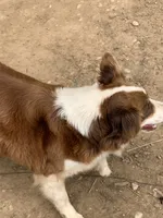 processed/a7e9bf17-8da9-4344-804f-ca99a351da30/listing/b9a949db-d031-4efc-a899-da1e2c984264/bcb46581-cbba-40e6-9c6a-8c35f65475bd