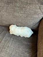 Puppy 4, a male Shichon for sale in Barron, WI – 3 of 3