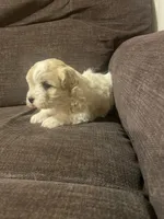 processed/a7f6d070-aa8f-47ae-83ac-0bbec92ba28d/listing/4789f8a5-b778-4ec8-bf52-a37e13ca109c/1560687a-595e-4371-afdb-1d848aa3d66a