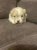 processed/a7f6d070-aa8f-47ae-83ac-0bbec92ba28d/listing/4789f8a5-b778-4ec8-bf52-a37e13ca109c/19a45d5a-a73c-42c1-bca4-4903c9cf3a3d