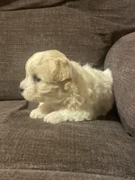 processed/a7f6d070-aa8f-47ae-83ac-0bbec92ba28d/listing/4789f8a5-b778-4ec8-bf52-a37e13ca109c/847ac041-e610-410e-ad57-de7b2c81a309