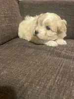 processed/a7f6d070-aa8f-47ae-83ac-0bbec92ba28d/listing/4789f8a5-b778-4ec8-bf52-a37e13ca109c/c8655ea7-4315-46da-a2e9-abcf1d273604