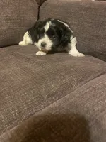 processed/a7f6d070-aa8f-47ae-83ac-0bbec92ba28d/listing/754ede6d-5858-487a-8c04-83fa6ba24397/50f789b7-e9c6-46a5-80d3-9140d2c76bf4