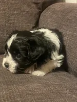 processed/a7f6d070-aa8f-47ae-83ac-0bbec92ba28d/listing/754ede6d-5858-487a-8c04-83fa6ba24397/8667a38e-8f15-4b41-952b-fbabe8775d8f