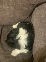 processed/a7f6d070-aa8f-47ae-83ac-0bbec92ba28d/listing/754ede6d-5858-487a-8c04-83fa6ba24397/a42743c4-de0b-4d6a-a8b2-482cb963209d