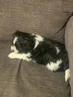 processed/a7f6d070-aa8f-47ae-83ac-0bbec92ba28d/listing/754ede6d-5858-487a-8c04-83fa6ba24397/e0ec3b6d-e946-43ad-999a-606ef3ccf9d6