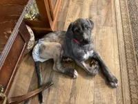 processed/a7f891b8-a35e-4c0b-a883-50e1ba6003d3/listing/c98ba742-5c69-4718-996d-98daf16e43dc/1dae8d50-7958-4655-b01f-3124315a50f0