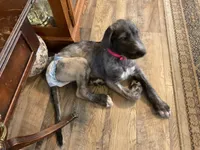 processed/a7f891b8-a35e-4c0b-a883-50e1ba6003d3/listing/c98ba742-5c69-4718-996d-98daf16e43dc/5f4ab591-105f-4068-a65f-978839f3a2ff