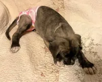 processed/a7f891b8-a35e-4c0b-a883-50e1ba6003d3/listing/c98ba742-5c69-4718-996d-98daf16e43dc/728d4f34-5424-4b1a-8b60-5c798a1a3299