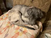 processed/a7f891b8-a35e-4c0b-a883-50e1ba6003d3/listing/c98ba742-5c69-4718-996d-98daf16e43dc/7d0aed88-5cbb-4ea5-a8dc-a97b9ba5631c