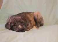 processed/a7f891b8-a35e-4c0b-a883-50e1ba6003d3/listing/c98ba742-5c69-4718-996d-98daf16e43dc/9c364463-a4e6-4b32-818b-f1d766664b7d