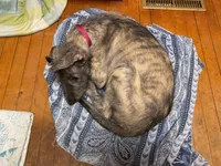 processed/a7f891b8-a35e-4c0b-a883-50e1ba6003d3/listing/fccbdf24-65b0-4f55-b7ea-d8007204a9d6/2ba3b618-b5d7-4a23-b077-73b637f705e6