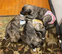 processed/a7f891b8-a35e-4c0b-a883-50e1ba6003d3/listing/fccbdf24-65b0-4f55-b7ea-d8007204a9d6/2ca2bcc6-5d37-4211-a6b9-1c2131f3efdf