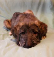 processed/a7f891b8-a35e-4c0b-a883-50e1ba6003d3/listing/fccbdf24-65b0-4f55-b7ea-d8007204a9d6/a159f0ec-4ef7-40eb-b2c0-3d47bcd75df7