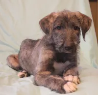 processed/a7f891b8-a35e-4c0b-a883-50e1ba6003d3/listing/fccbdf24-65b0-4f55-b7ea-d8007204a9d6/c66f62dd-86b0-4368-bc3e-3ff3ed2c1065