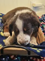 processed/a7f8ee63-cfad-49e7-829e-9f0da623d8b9/listing/24518632-4951-4610-b5ec-5a8d854a1b32/28b6f3e4-e7ca-4a2a-b26c-5662e3346e79