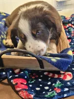 processed/a7f8ee63-cfad-49e7-829e-9f0da623d8b9/listing/24518632-4951-4610-b5ec-5a8d854a1b32/726740df-3984-4150-8b40-3874e7099094