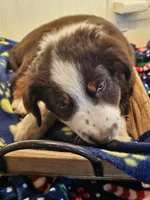 processed/a7f8ee63-cfad-49e7-829e-9f0da623d8b9/listing/24518632-4951-4610-b5ec-5a8d854a1b32/d1864cf1-1ef5-4e97-9763-4c5947e911d8