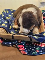 processed/a7f8ee63-cfad-49e7-829e-9f0da623d8b9/listing/24518632-4951-4610-b5ec-5a8d854a1b32/effaee1d-8a3b-4029-9eea-f08cb2c7cbd4