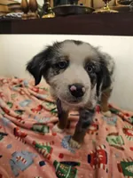 processed/a7f8ee63-cfad-49e7-829e-9f0da623d8b9/listing/571f7c2b-60b5-4109-94eb-4e63f2430a03/11a3d85a-84cf-4268-93a1-68f90c52de25