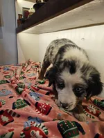 processed/a7f8ee63-cfad-49e7-829e-9f0da623d8b9/listing/571f7c2b-60b5-4109-94eb-4e63f2430a03/16140114-3b4b-4b3c-bb7d-54aecea65859